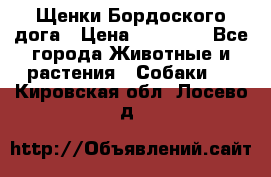 Щенки Бордоского дога › Цена ­ 60 000 - Все города Животные и растения » Собаки   . Кировская обл.,Лосево д.